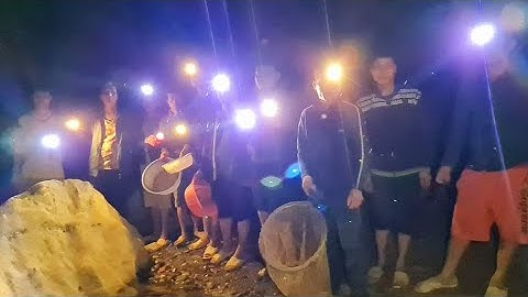 Sinh tồn 24 giờ  cười xuyên đêm cùng Dàn diễn viễn  điện tử đồi thông. Nguyễn Tất zthawngs