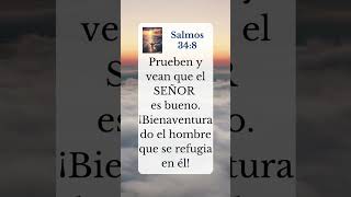 Salmos 34:8 | Cristo es el camino #jesuscristo #dios #versiculodeldia #biblia