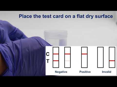 Point of Care Single Panel Urine Drug Test Dip Card