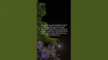 الشيخ :مصعب العامري "سورة ال عمران"