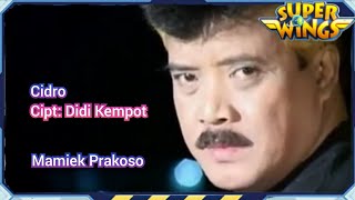 Mamiek Prakoso - Cidro (Official Audio) Super Wings