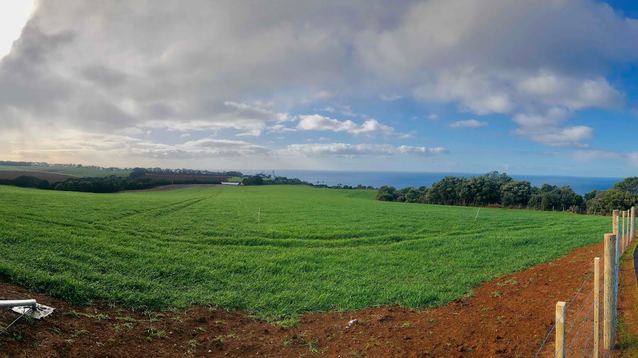 Emu Valley Rhododendron Garden & Table Cape Lookout, Tasmania