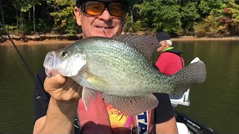 Crappie Smack Down On High Rock Lake !!
