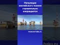 Популяция каспийского тюленя стремительно сокращается