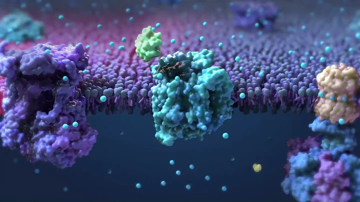 Breakthrough Dry AMD Treatment | Valeda Light Therapy at Carolina Vision Center