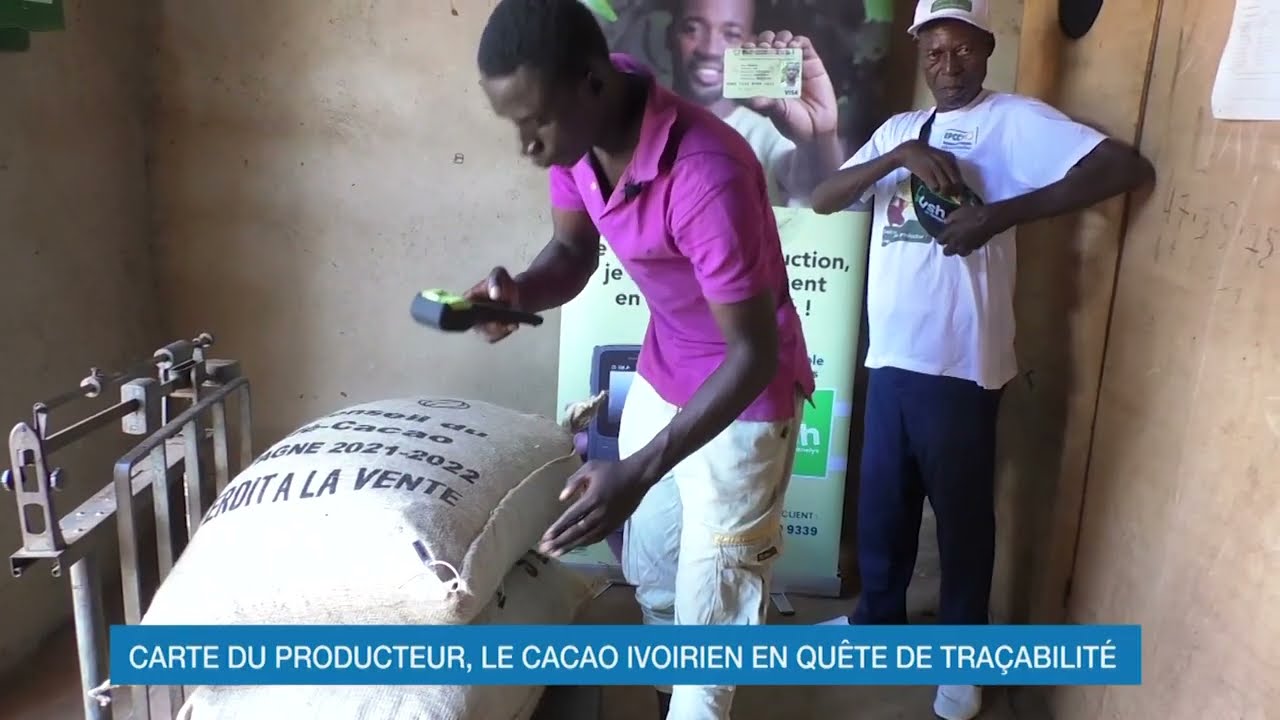Carte du producteur : le cacao ivoirien en quête de traçabilité (Dossier Ecoplus)