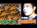 2.夜の石垣島がヤバすぎ...外来種猛毒オオヒキガエル爆発の瞬間!