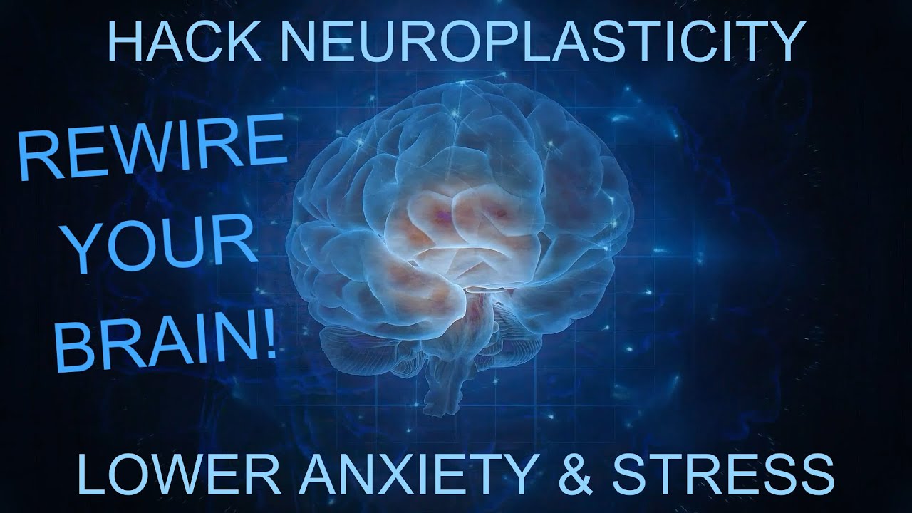 Rewire Your Brain To Lower Anxiety Hack Neuroplasticity YouTube