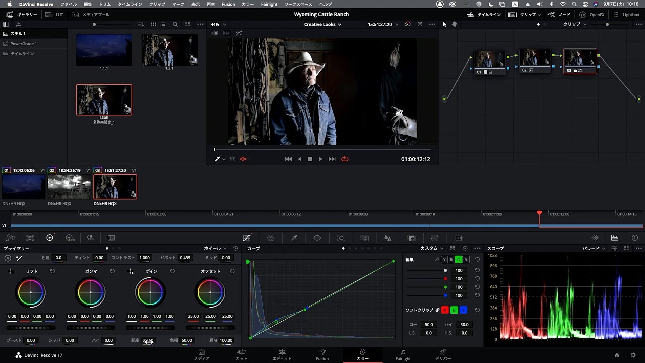 DaVinci Resolve 17 入門講座 #11｜LUTとギャラリースチル（カラー