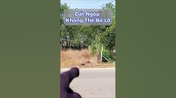 Đất Dầu Tiếng I Đất Ngộp đây anh em ơi? #datdautieng