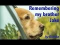 Bring tissues... A Tribute by Bubba, a Golden Retriever Dog - Pet Memorial