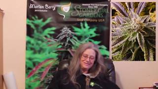 Strain Info - Pitbull & Crippit