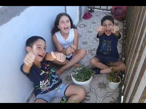 წინასწარი მზადება