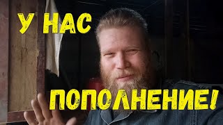 Супер подарок на день рожденья! У нас пополнение.