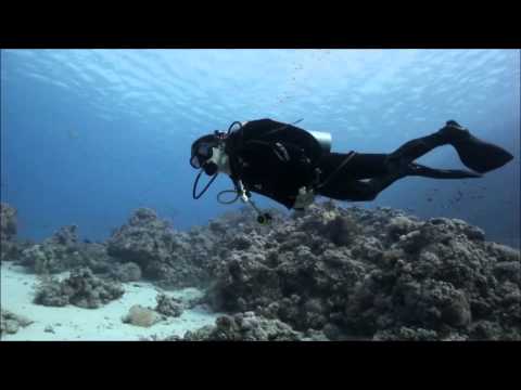 Тест видео GoPro Hero 3+ Фильм 3 Дайвинг сафари яхта Тала Shark & Yolanda Reefs Ras Mohammed