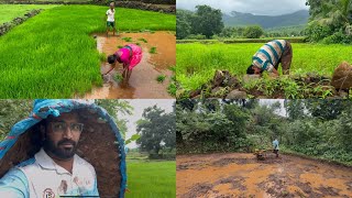 भात लावणी ला झाली सुरुवात😍 rice farming with lovley nature ❤️