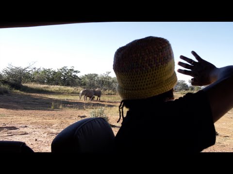 Jordan Ward - PlantainGo! Ep. 12: SOUTH AFRICA