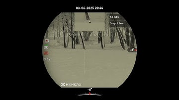 Rabbit Removal Using Hikmicro Stellar 3.0 SQ50L  & FX Impact M3