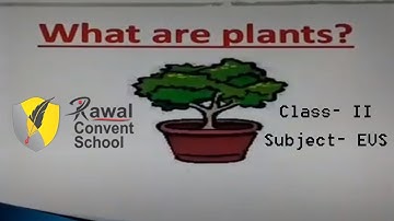 Class- II, Subject- EVS, Topic- Parts of plant, Rawal Convent School