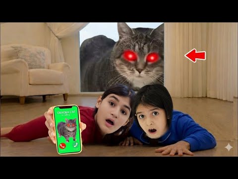 MELİSA NİSA !! OIIAOIIA CAT EXE ARIYOR SAKON AÇMA BİZİM EVE GELDİ !!