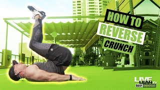 How To Do A REVERSE CRUNCH | Exercise Demonstration Video and Guide