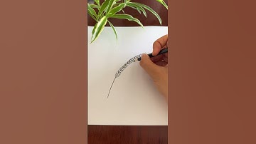Cách vẽ cây lúa mì 🌾 dễ dàng và đẹp. How to draw a wheat plant #easydrawing #drawing #howtodraw