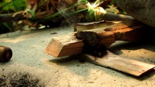 On Site Hand Drill: Salmonberry on Western Red Cedar