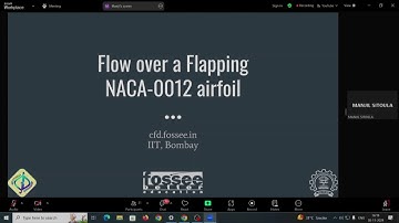 ILWO S08 Flow over a Flapping NACA-0012 Airfoil