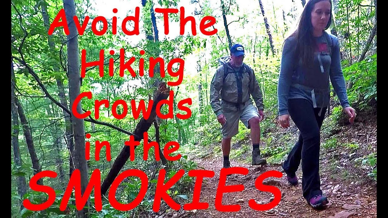 Avoiding Crowded Trails In The Smoky Mountains