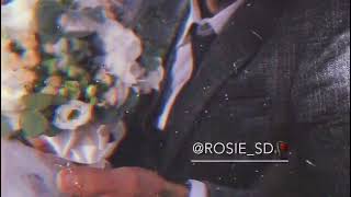 Rosie_SD - Бродяга