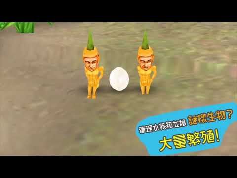 管理水族箱並讓謎樣生物大量繁殖。