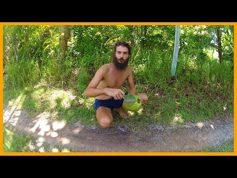 Come aprire un COCCO e bere l'acqua