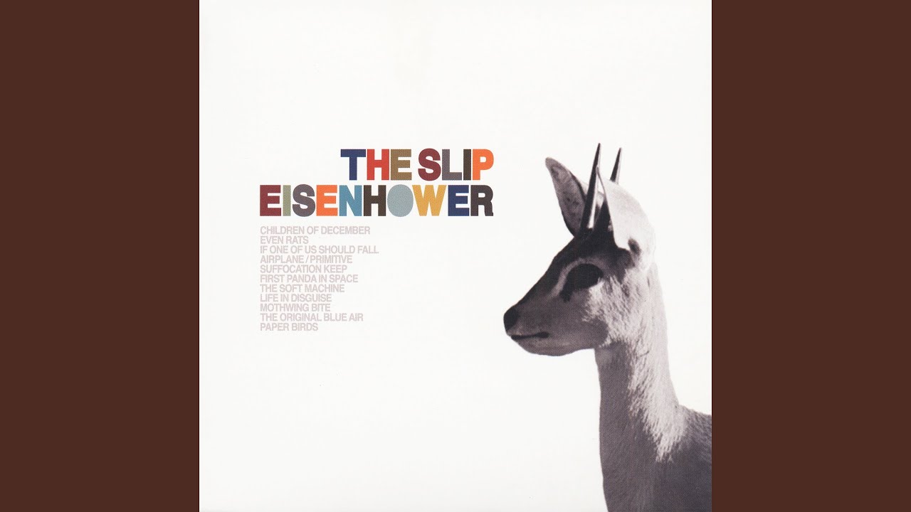 Watch Mothwing Bite on YouTube Watch Mothwing Bite on YouTube