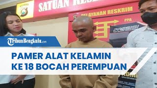 Kecanduan Film Dewasa, Pria di Palembang Pamer Alat Kelamin, 18 Bocah Perempuan Jadi Korban