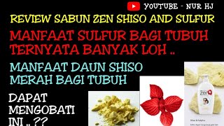 Manfaat Sulfur dan Daun Shiso - Review Zen Shiso and Sulphur  - Nur HJ