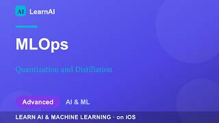 Quantization and Distillation | LearnAI (Advanced)