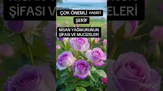 Nisan Yağmur’un Şifası Ve Mucizeleri