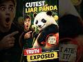 Top 5 Craziest Panda Facts  #foryou #usa #panda #uk #fypシ #ytshorts #didyouknow