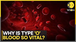 Red Cross: Only One Day Supply of Type O Positive Blood Left | WION News
