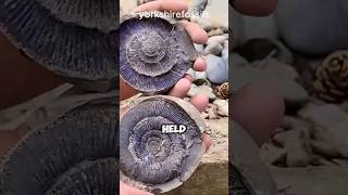 They Broke a Boulder and Found This Inside! 🤯#AmazingDiscovery 🤯#HiddenSecrets
