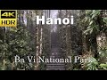 Promenade dans le parc national de bavi  hanoi  vietnam 2023  soustitres et son binaural