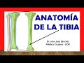 ✅ Anatomía de La TIBIA, Fácil, Rápida y Sencilla