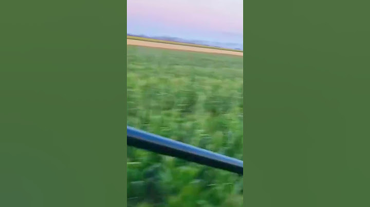 Обробка кукурудзи Пивиха