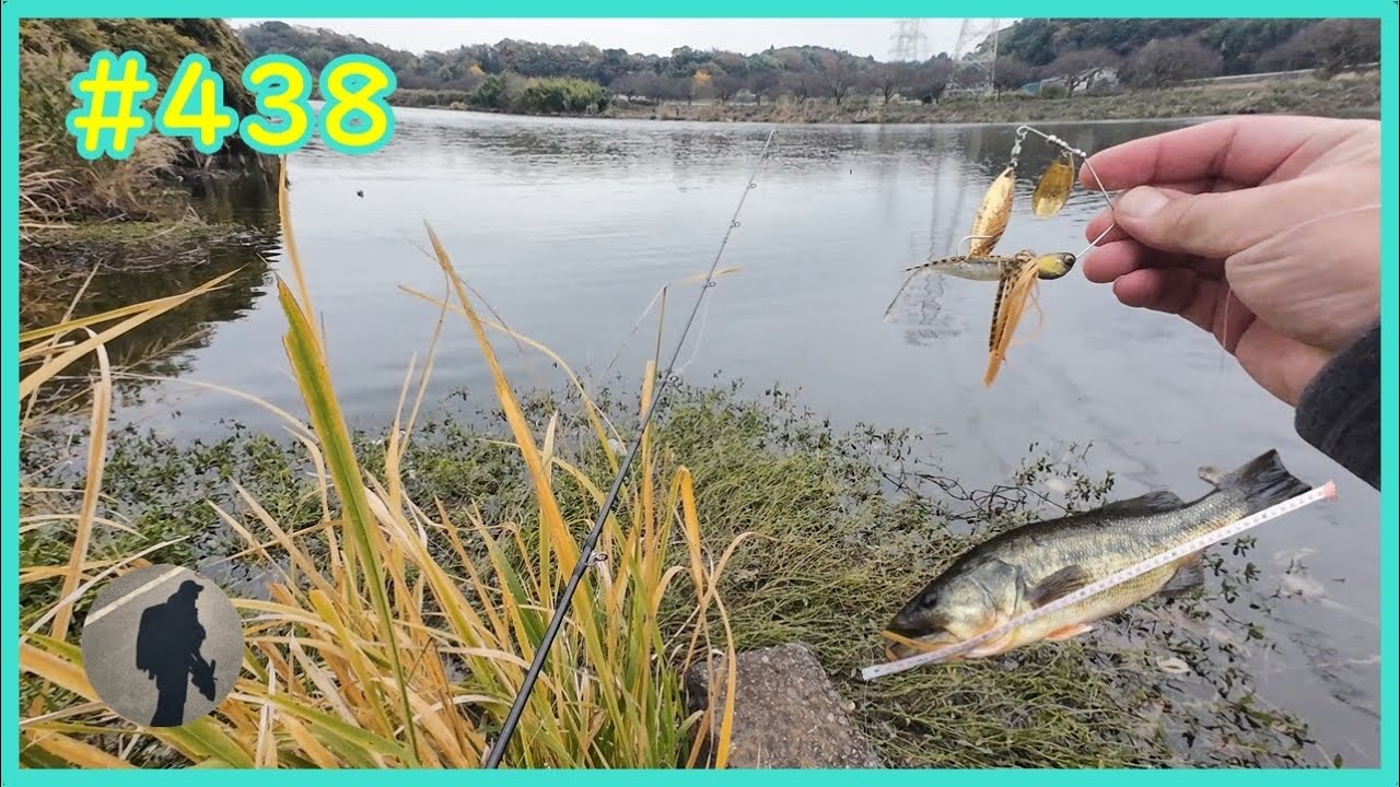 【印旛沼（新川）】キンクロの日【バス釣り】