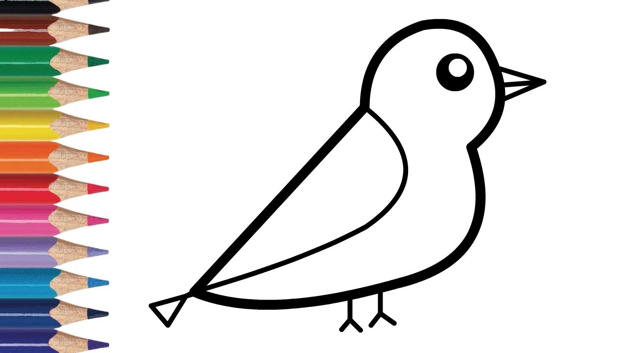 How To Draw Bird How To Draw Bird Easy Step Bird Drawing Easy Step how-to-draw-bird-how-to-draw-bird-easy-step-bird-drawing-easy-step
