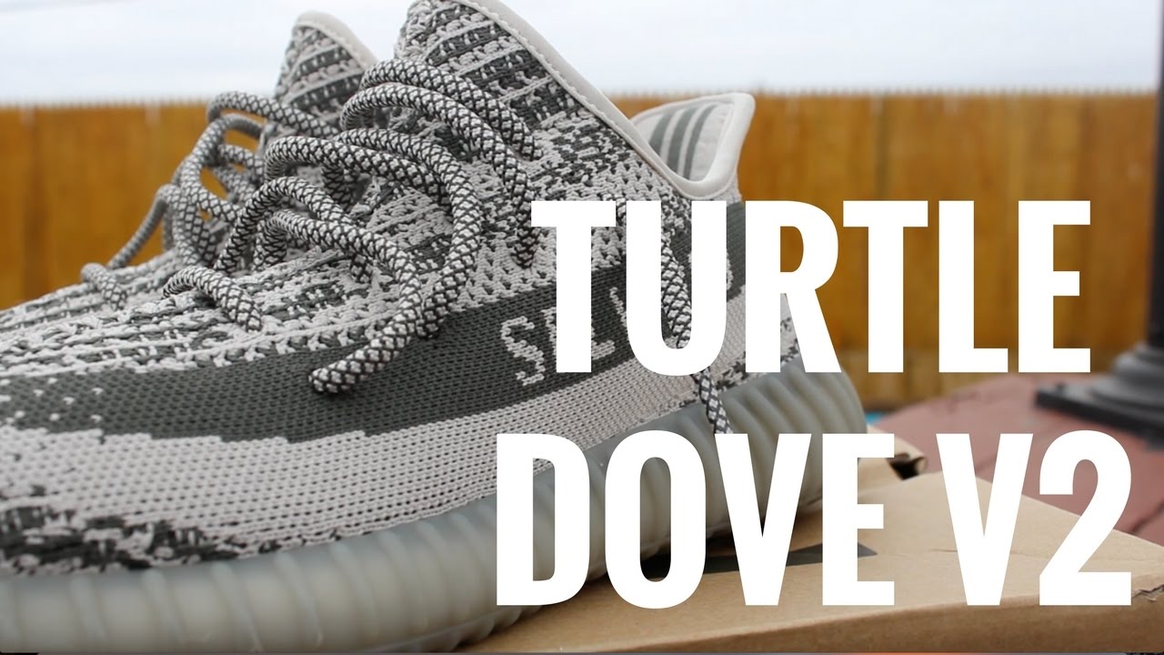 Adidas Yeezy Boost 350 V2 Turtle Dove Modern Notoriety