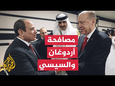الرئيس التركي: نرغب في نقل اتصالات تركيا ومصر إلى نقطة أفضل