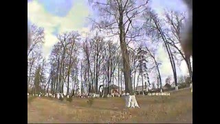 Тест-RROSD PRO MINI PDB
