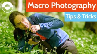 Macro Photography Tips and Tricks! (Camera Settings, Equipment, Diffuser + Mirror Hack!) by Viewfinder Mastery 88,500 views 1 year ago 13 minutes, 38 seconds