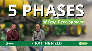 Driving Root Development: In-Furrow and 2x2 Strategies That Set the Stage for Crop Success